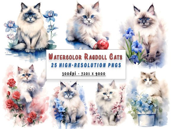 25 Watercolor Ragdoll Cat Clipart: Illustrations That Bring Warmth to Web & Editorial Design