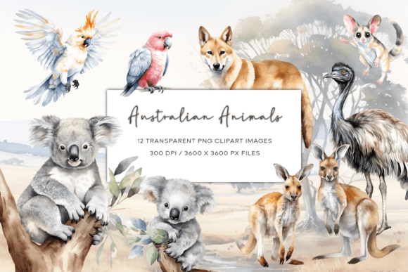 Australian Watercolor Animals Clipart: A Designer’s Real-World Review
