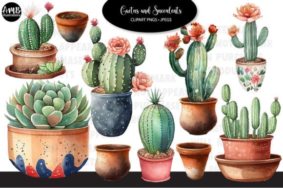 Cactus and Succulents Watercolour Clipart: A Blog Designer’s Review for Real Content Publishing