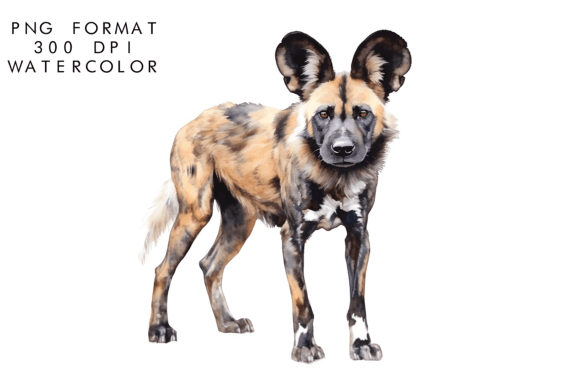 Watercolor African Wild Dog Illustrations for Craft & Sublimation