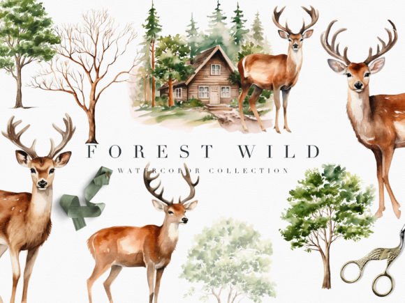 Watercolor Forest Wild Clipart Set for Illustrations & Digital Product Sellers