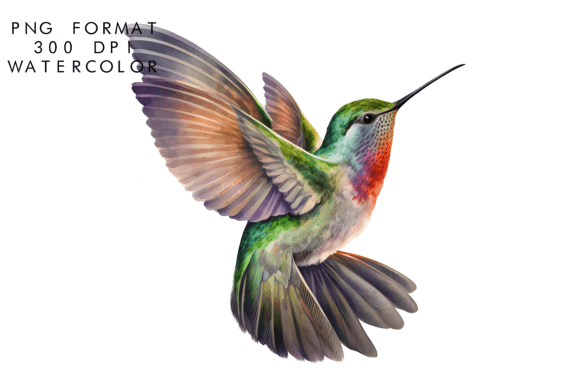 Watercolor Hummingbird Illustrations for Elegant Blog Design