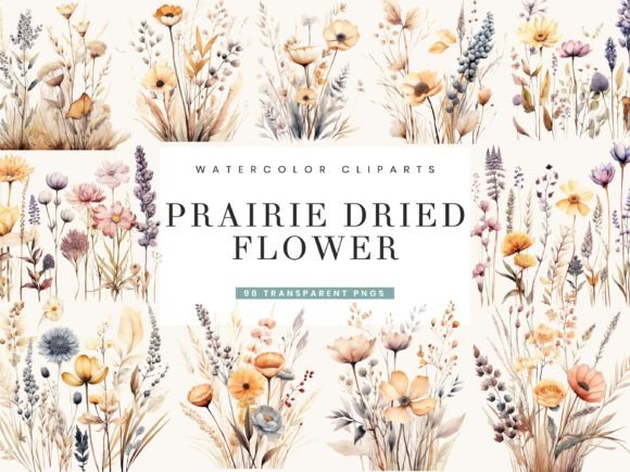 Watercolor Prairie Dried Flower Clipart: A Designer’s Honest Review for Real Client Work