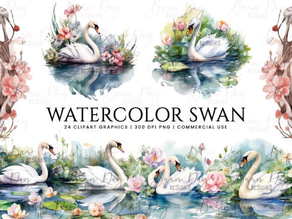 Watercolor Swan Illustrations: A Designer’s Review for Real Client Projects