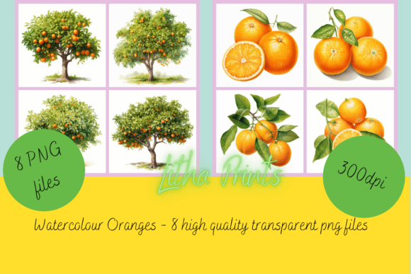 Watercolour Oranges: A Fresh Illustration for Local Branding and Packaging