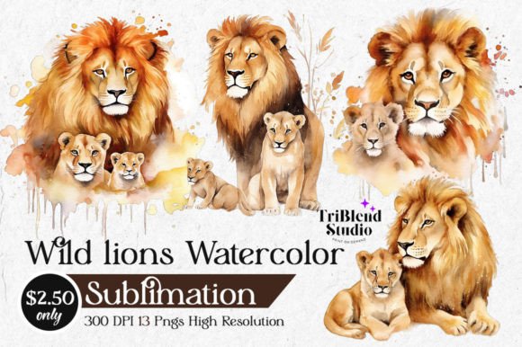 Wild Lions Watercolor Illustrations for Creative Sellers